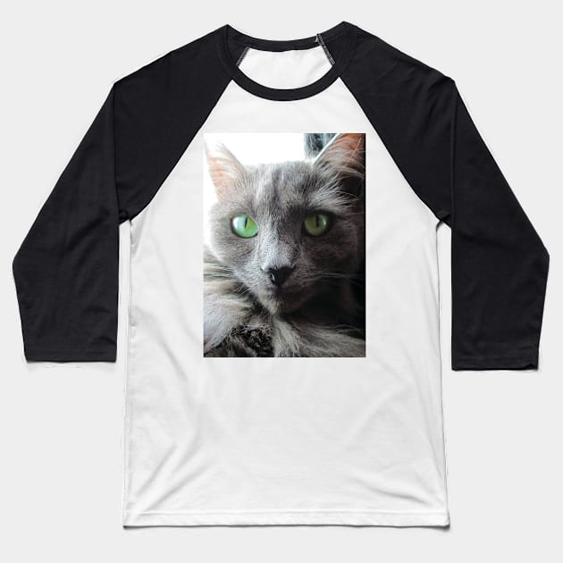 Stunning green eyed grey cat Baseball T-Shirt by PandLCreations